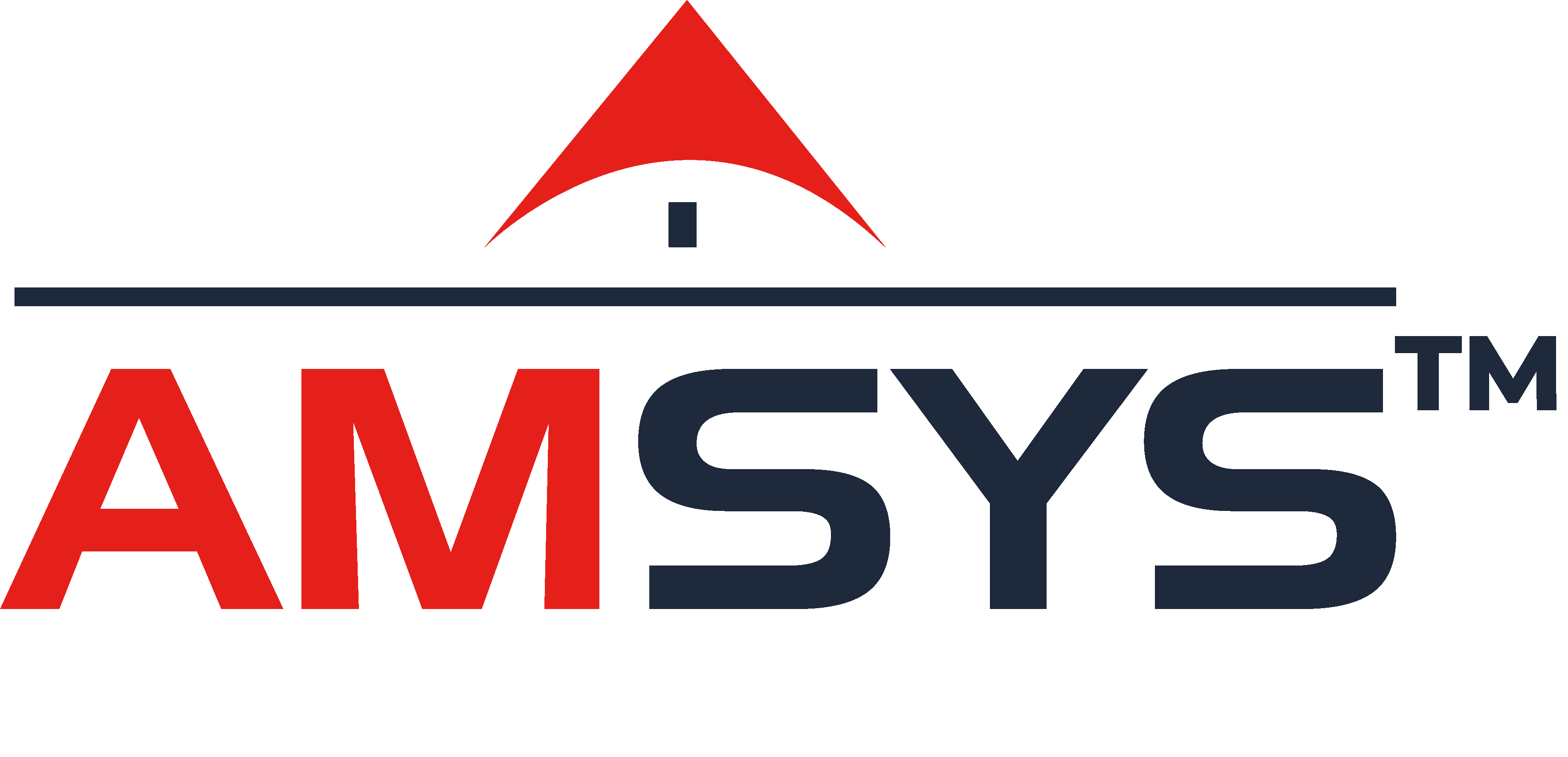 AMSYS Group logo